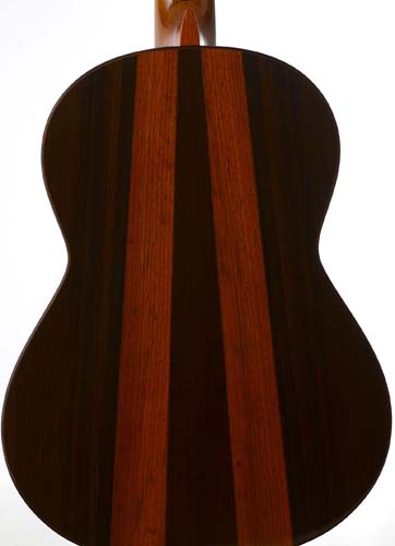 tr-delvino-3-coral.jpg
